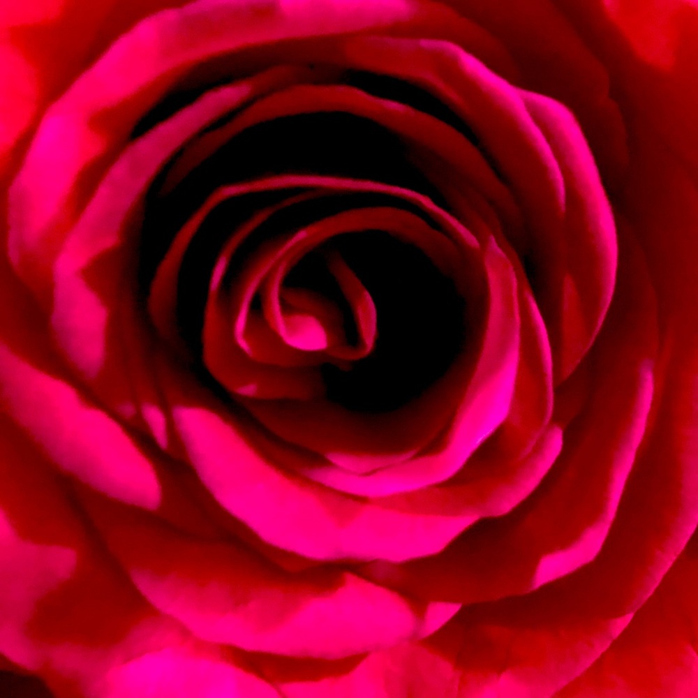 Meet your Posher, Essence